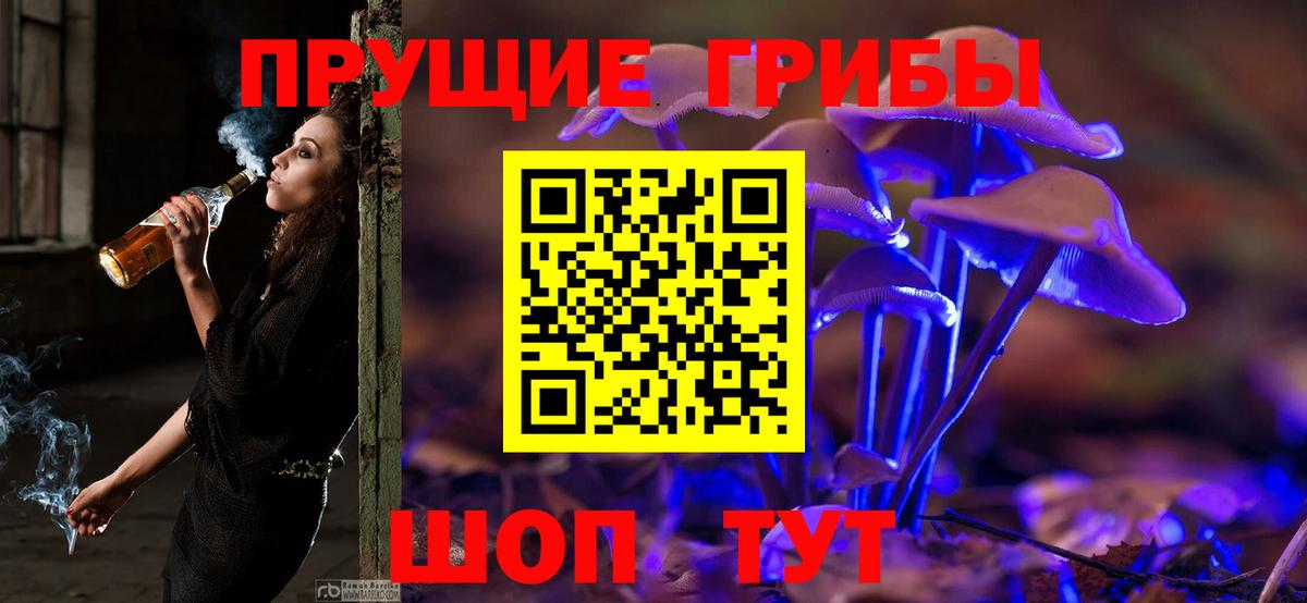 Дагестанские Огни  Галлюциногенные грибы прущие грибы  Вход с VPN 